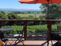 View from Woodenhead Deck