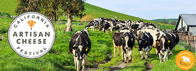 Artisan Cheese Festival